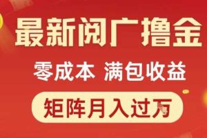 最新阅广撸金项目,零成本满包收益,可矩阵操作,月入过1W【揭秘】