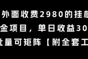 外面收费2980的挂G撸美金项目，单日收益30+美金，可批量可矩阵【揭秘】