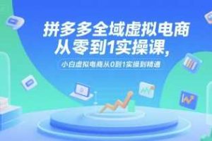 拼多多全域虚拟电商从零到1实操课，小白虚拟电商从0到1实操到精通