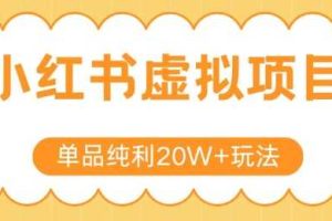 小红书卖虚拟产品，单品纯利20W+玩法分享，4节系列课程