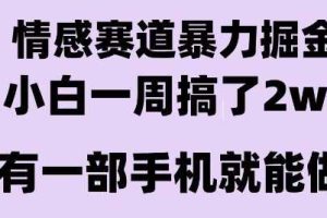 情感暴力掘金项目，新人操作一周挣了2W，长期稳定小白可做【揭秘】