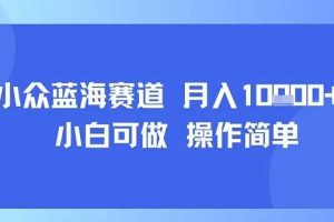 小众蓝海赛道，小白可做，操作简单，每天30分钟，月入1W+