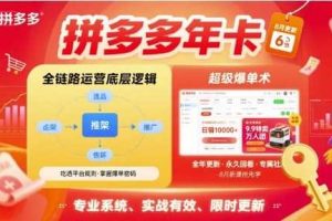 拼多多年卡【8月更新6节】拼多多全链路运营底层逻辑，超级爆单术