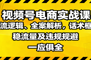 视频号电商实战课：推流逻辑、全案解析，话术框架，稳流量及违规规避等