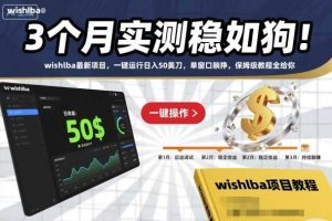 3个月实测稳如狗!wishlba最新项目,一键运行日入50美刀,单窗口躺挣,保姆级教程全给你【揭秘】