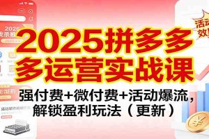 2025拼多多运营实战课：强付费+微付费+活动爆流，解锁盈利玩法（更新）