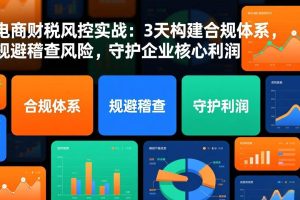 (17197期)电商财税风控实战:3天构建合规体系,规避稽查风险,守护企业核心利润