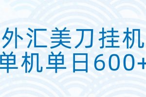 外汇美刀挂机:全自动挂机赚美金,单机600+