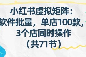 小红书虚拟矩阵:软件批量发笔记,单店100款,3个店同时操作(共71节)
