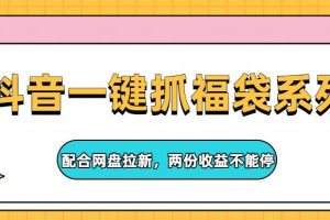 抖音一键抓福袋系列，配合网盘拉新，两份收益不能停