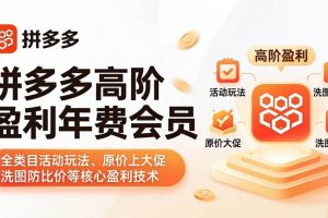 （18063期）拼多多高阶盈利年费会员(更新4月15)：全类目活动玩法、原价上大促、洗图防比价等核心盈利技术