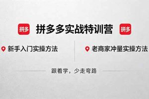 (18468期)拼多多实战特训营(更新5月15):不管是新手入门或老商家冲量,都有实操方法,跟着学,少走弯路