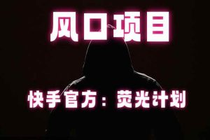 (18560期)快手风口项目,荧光计划托管,长期稳定,适合批量做