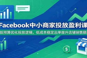 Facebook中小商家投放盈利课:低预算优化投放逻辑,低成本稳定出单提升店铺销售额