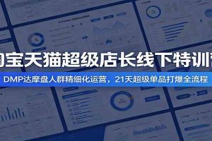 淘宝天猫超级店长线下特训营:DMP达摩盘人群精细化运营,21天超级单品打爆全流程