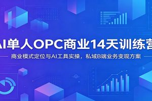 AI单人OPC商业14天训练营:商业模式定位与AI工具实操,私域B端业务变现方案