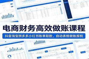 电商财务高效做账课程:抖音淘宝拼多多小红书账单取数,自动表格做账报税