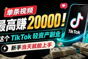 （19457期）单条视频最高赚 20000！这个 TikTok 轻资产副业，新手当天就能上手
