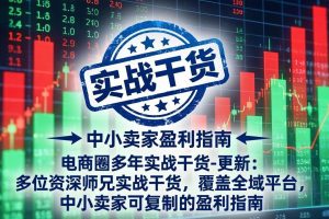 （19447期）电商圈多年实战干货-更新2026：多位资深师兄实战干货/覆盖全域平台，中小卖家可复制的盈利指南
