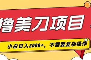 （19493期）撸美刀，单日收入2000+，小白可做