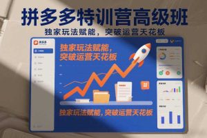 拼多多特训营高阶班，独家玩法赋能，突破运营天花板（更新26年7月24日）