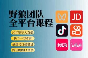 野狼团队2026新版全平台短视频带货教学，打开流量突破口，开始Ai带货（更新0724）