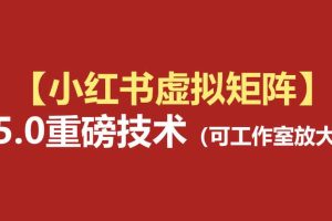 小红书虚拟矩阵5.0：AI原创虚拟品+4带1自动化AI发笔记+测款怼款双模式（可工作室放大）
