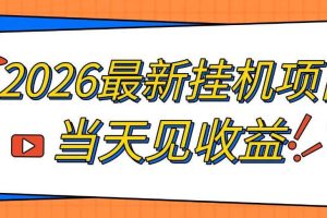 2026最新全自动挂G搬砖项目，单窗口30+，不吃电脑配置，能开机就能干，可长期做【揭秘】