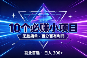 (19714期)10个必赚的小项目,无脑简单,百分百有利润,副业的首选,日入300+
