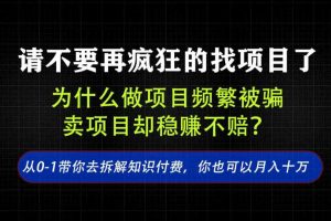 找项目？别傻了！卖项目才是真的一本万利！看完你全都懂了【揭秘】