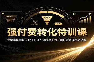 强付费转化特训课：完整实操拆解SOP，打通引流种草，提升用户付费成交转化率