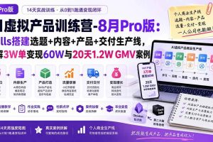 (20045期)AI虚拟产品训练营-8月Pro版-更新:Skills搭建选题+内容+产品+交付生产线,拆解3W单变现60W与20天1.2W GMV案例