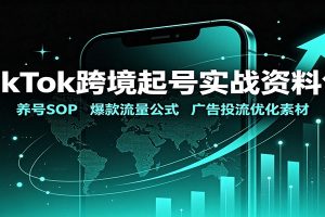 TikTok跨境起号实战资料包:养号SOP,爆款流量公式,广告投流优化素材