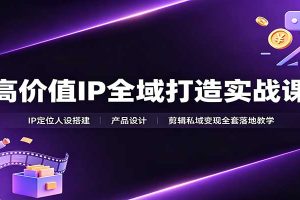 高价值IP全域打造实战课:IP定位人设搭建,产品设计,剪辑私域变现全套落地教学