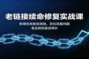 老链接续命修复实战课:梳理各类断流诱因,定位流量问题,老品救回重启增长