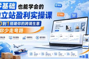 零基础也能学会的独立站盈利实操课，从0到1搭建你的跨境生意，帮你少走弯路