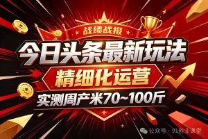 今日头条最新玩法,精细化运营,躺米,实测周产米 70~100 ,兔米橡木,全新躺.zhuan模式